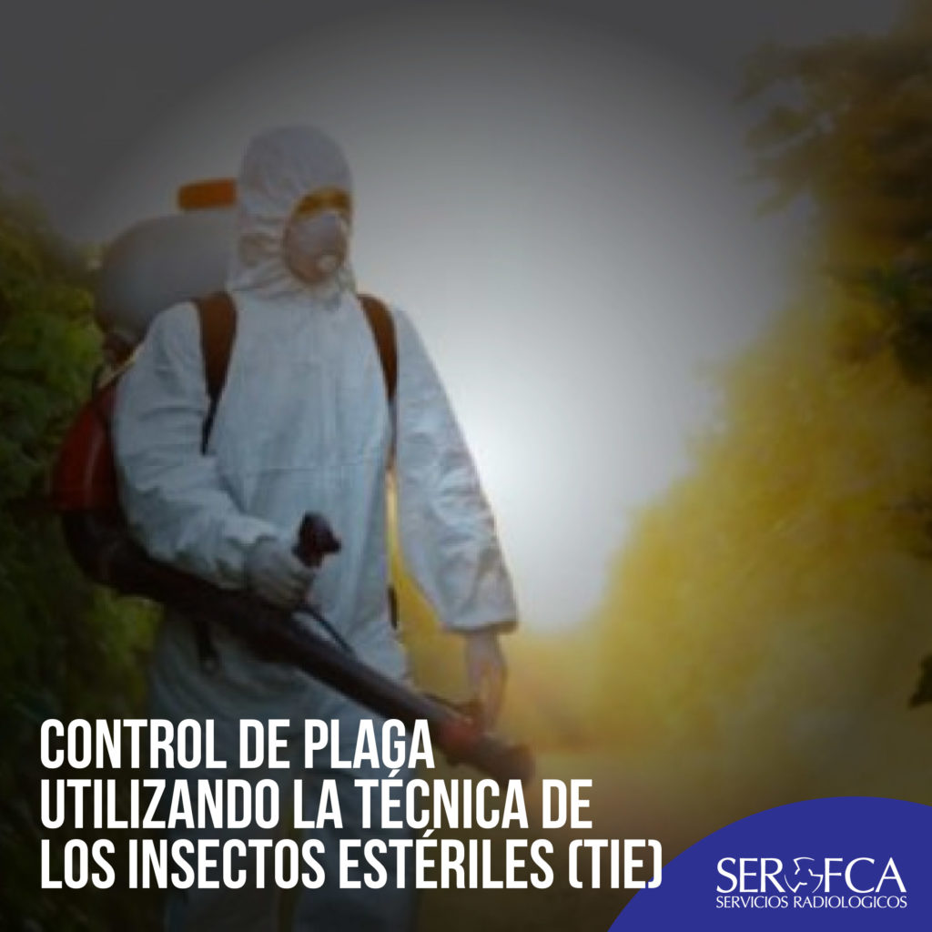 Control De Plaga Utilizando La T Cnica De Los Insectos Est Riles Tie